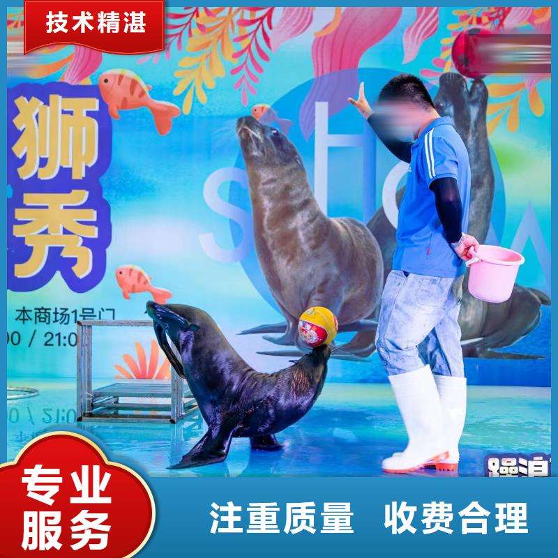 企鹅租赁活动方案