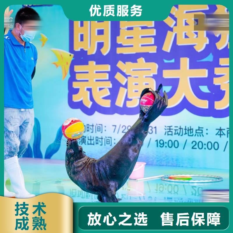 哪有出租企鹅的庆典活动