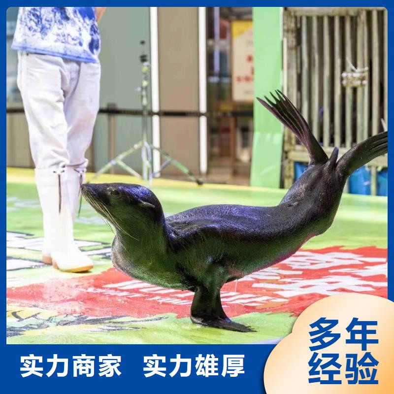 【图】海洋展出租生产厂家