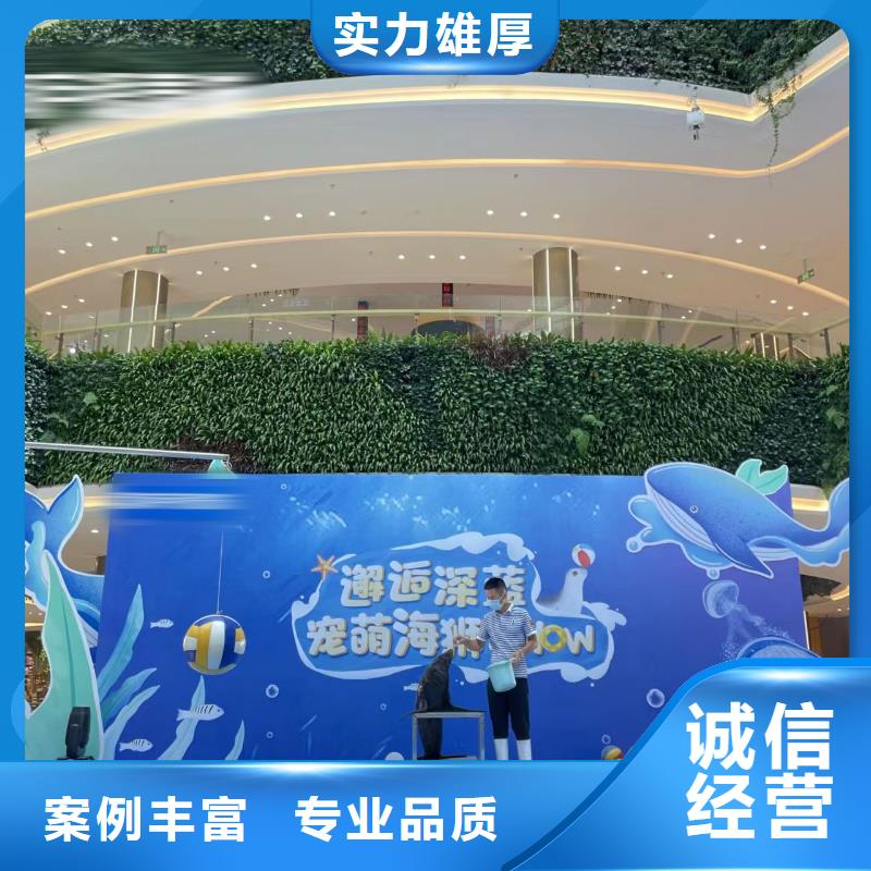 海洋主题动物表演-出租表演羊驼专业公司
