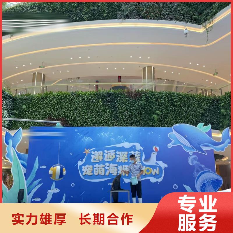 企鹅出租