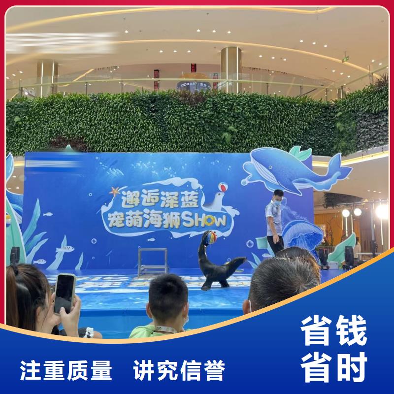 哪有出租企鹅的庆典活动