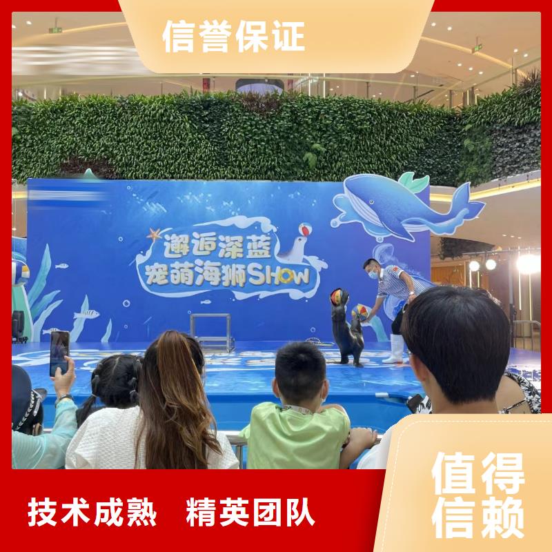 企鹅租赁厂销价优