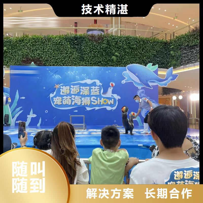 海狮表演出租哪里有
