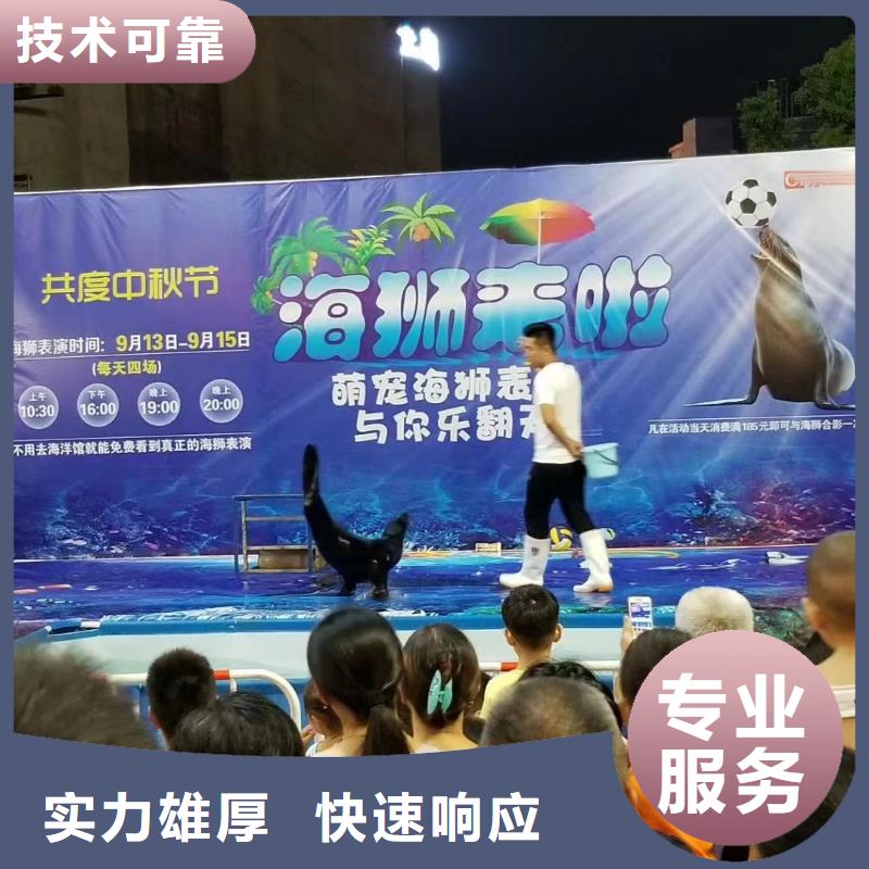 周边美人鱼表演租赁点击查看