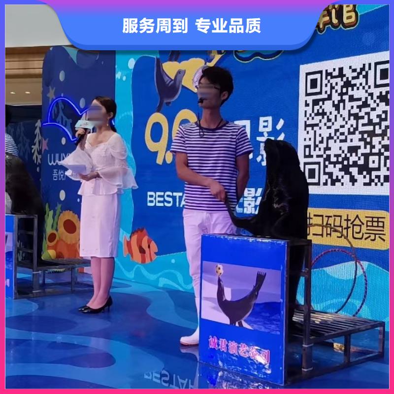 企鹅租赁活动方案
