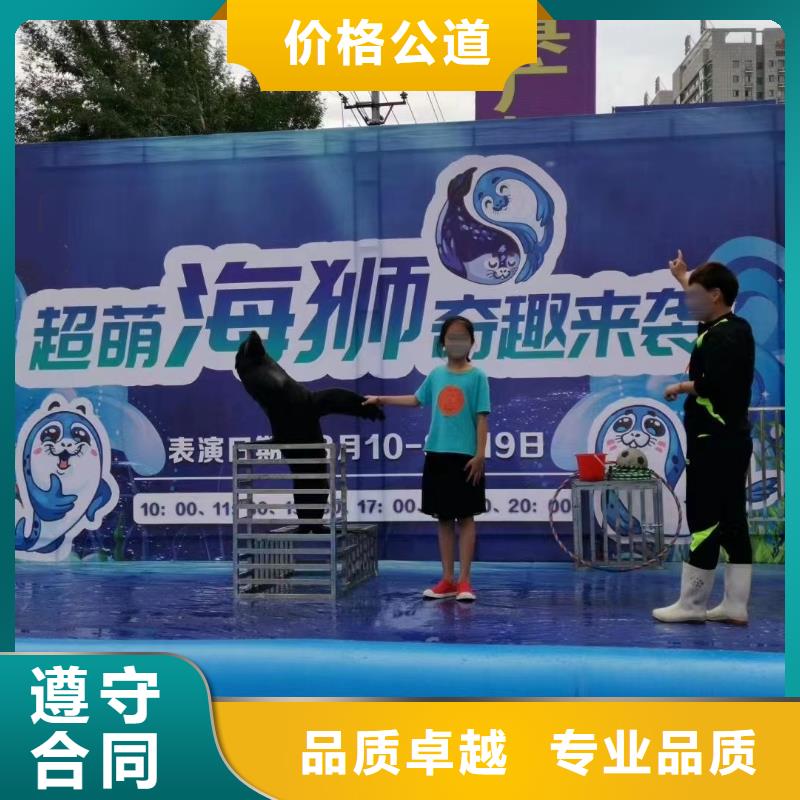 美人鱼表演出租联系电话