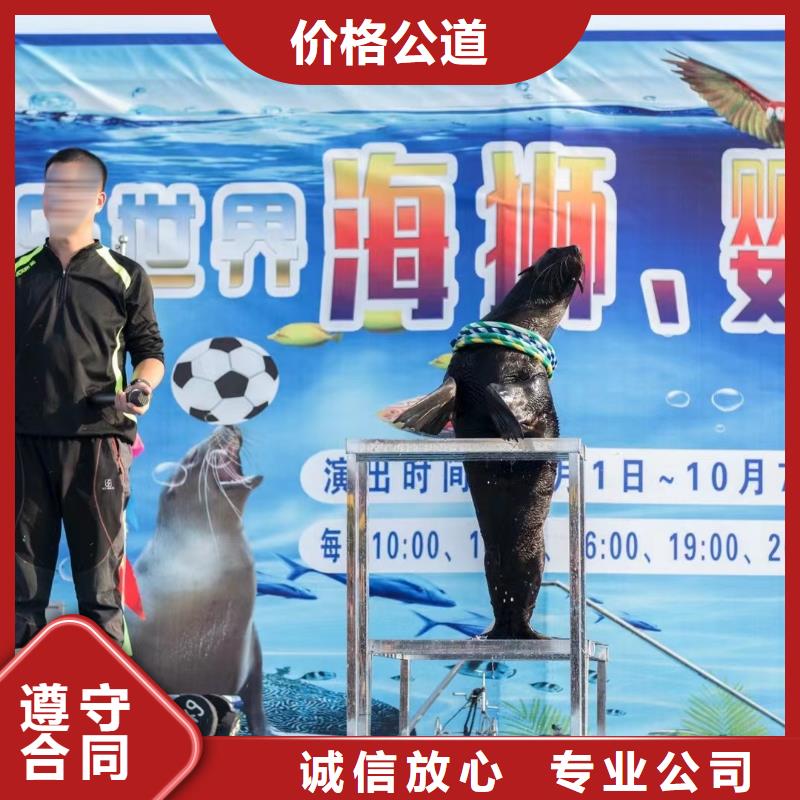海洋生物展租赁一手资源