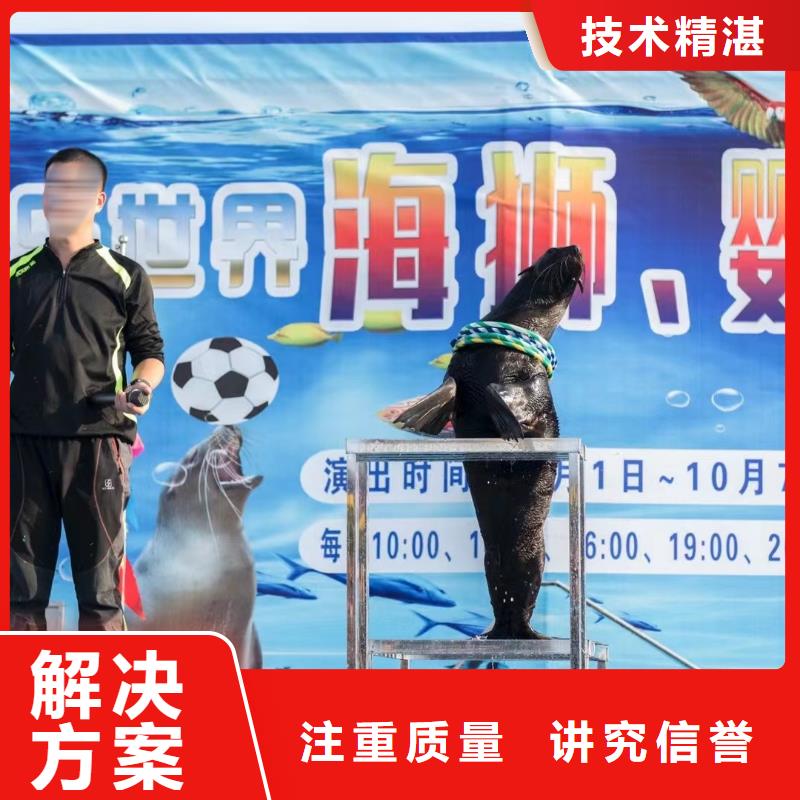 企鹅出租点击查看