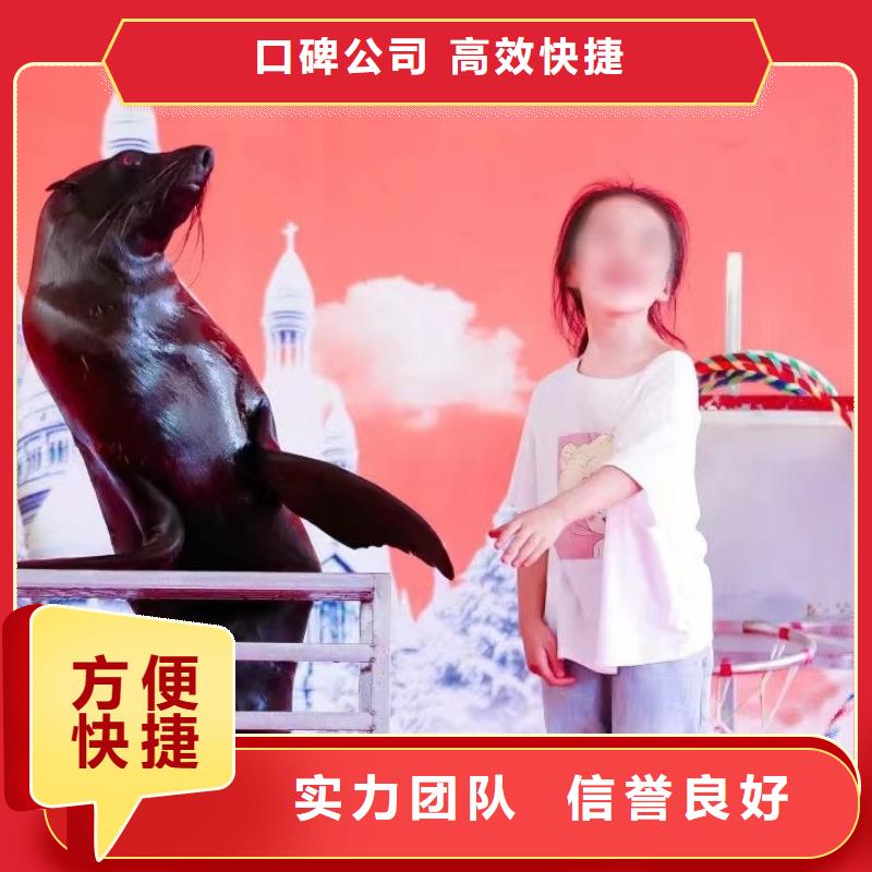 周边美人鱼表演租赁点击查看