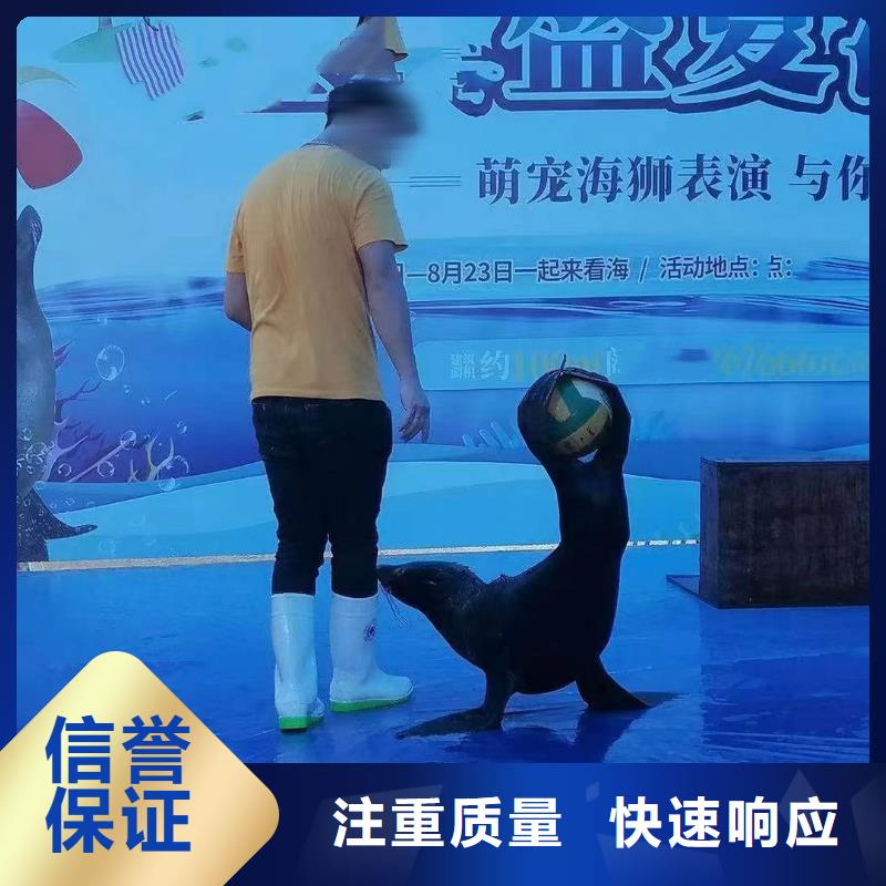 海洋生物展租赁