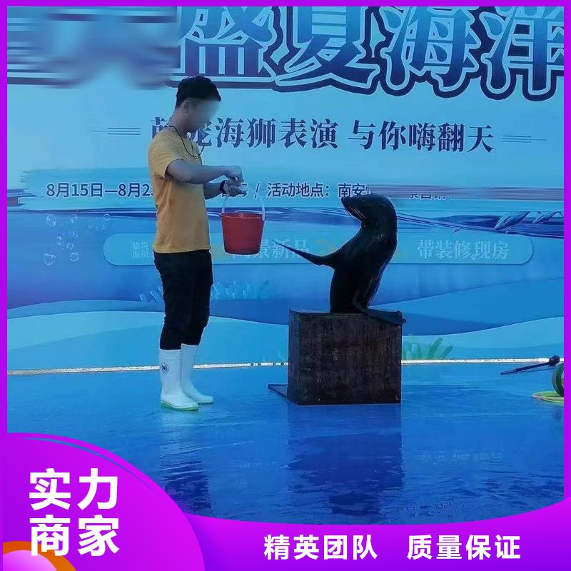 哪有出租海洋展的