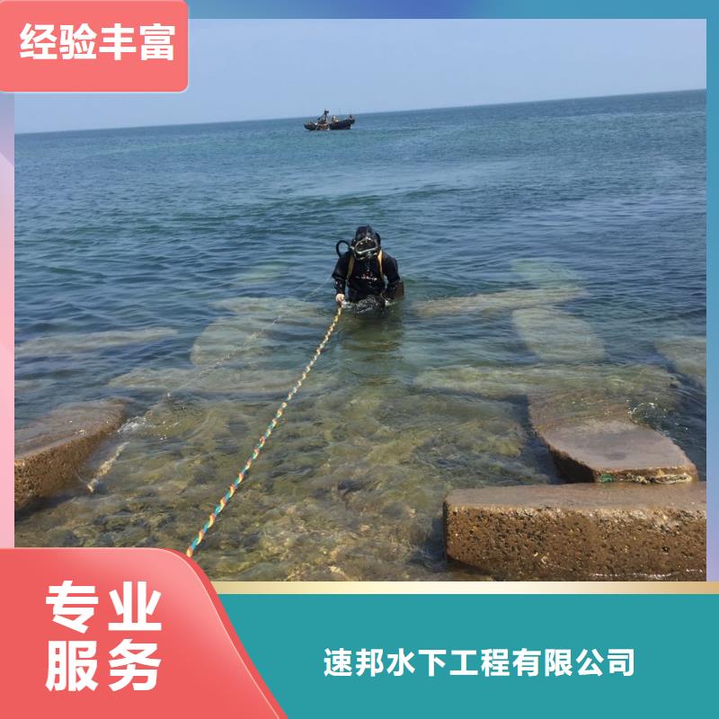 水下安装更换拦污栅