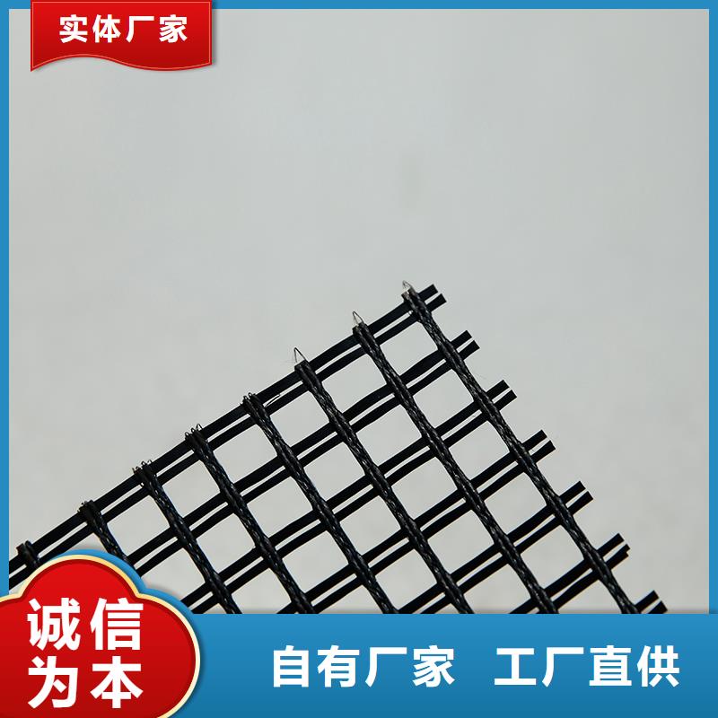 钢塑土工格栅厂家现货