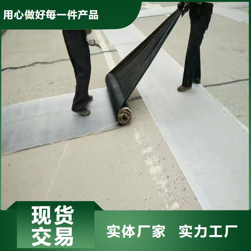 双向塑料格栅厂家