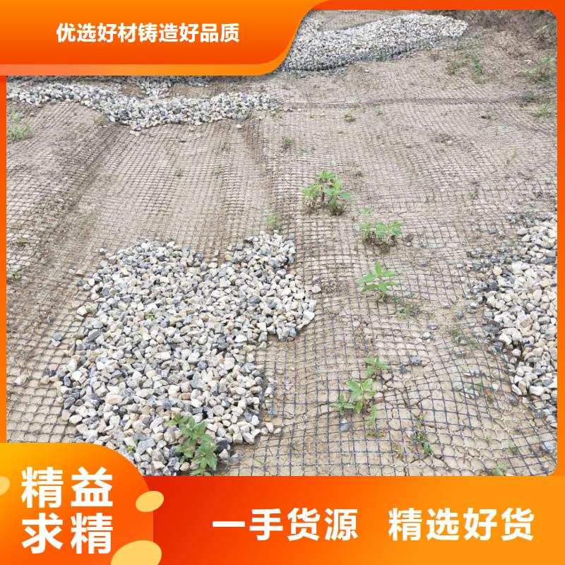 双向塑料土工格栅支持定制