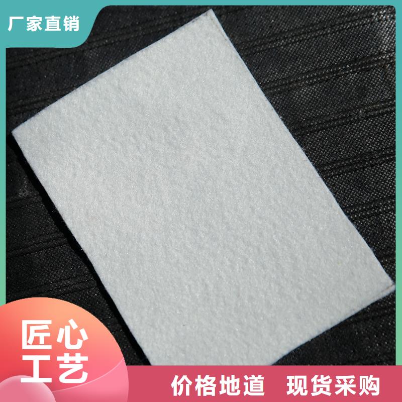 土工布玻璃纤维土工格栅专注产品质量与服务
