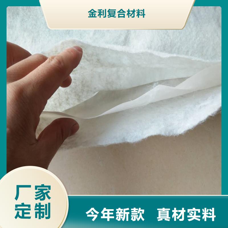 土工布玻璃纤维土工格栅专注产品质量与服务