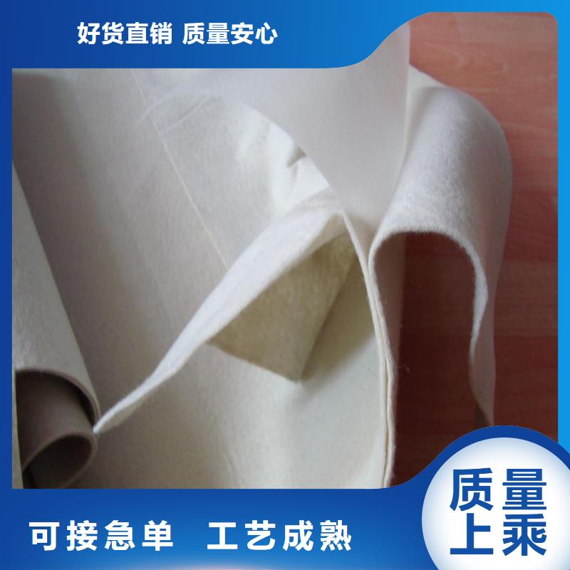 土工布玻璃纤维土工格栅专注产品质量与服务