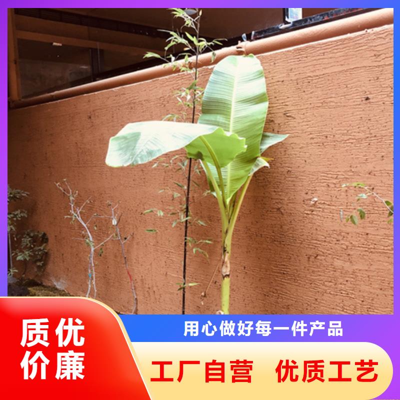 仿夯土稻草漆多少钱#农家小院#乡村建设#民宿改造