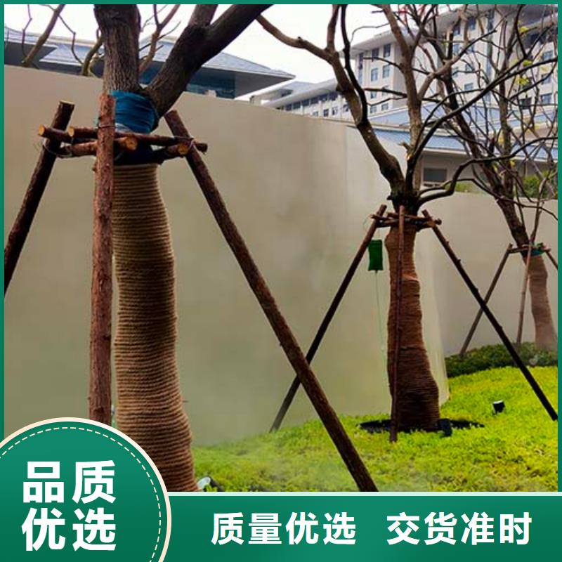 微水泥施工团队