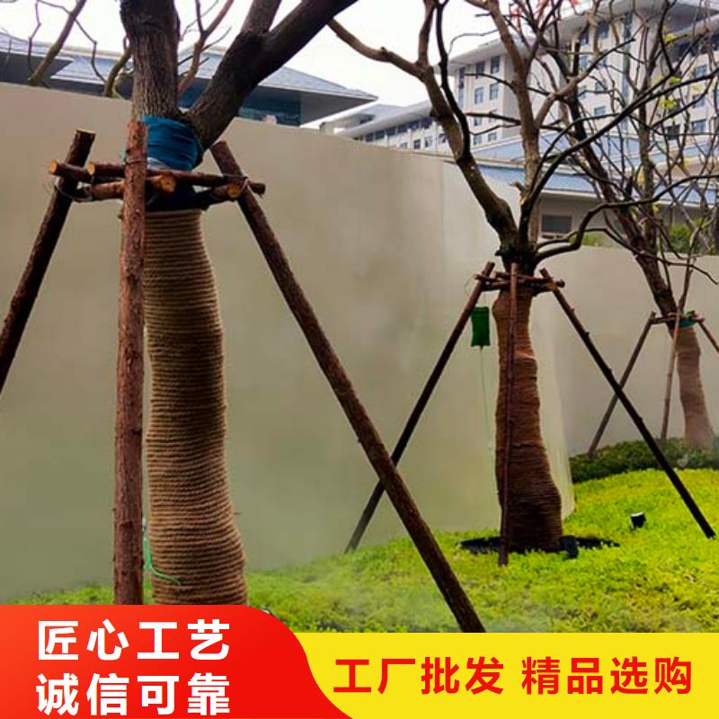 【微水泥】_木纹漆多少钱一公斤一站式服务