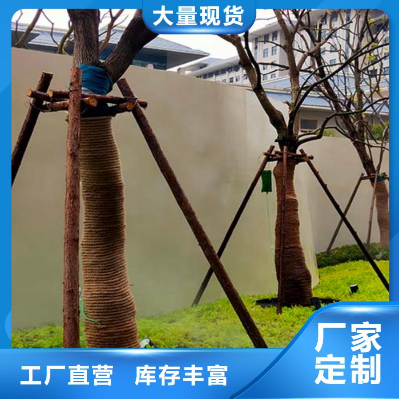 水泥漆_木纹漆多少钱一平方本地配送