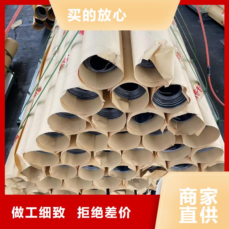 医用电动铅门工厂直销产品介绍