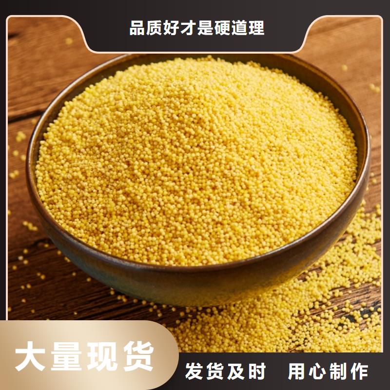 液体PAC现货报价