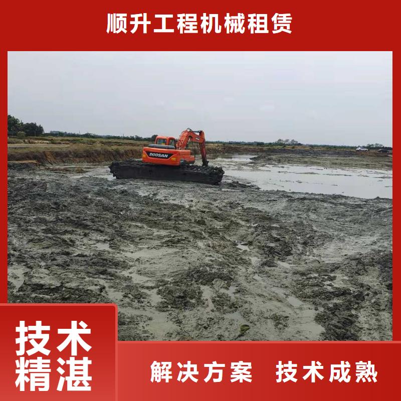 
两栖挖掘机租赁
市场