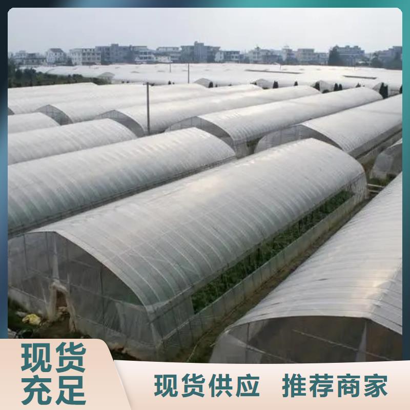 黔西县连栋大棚每平方价格【修饰词
