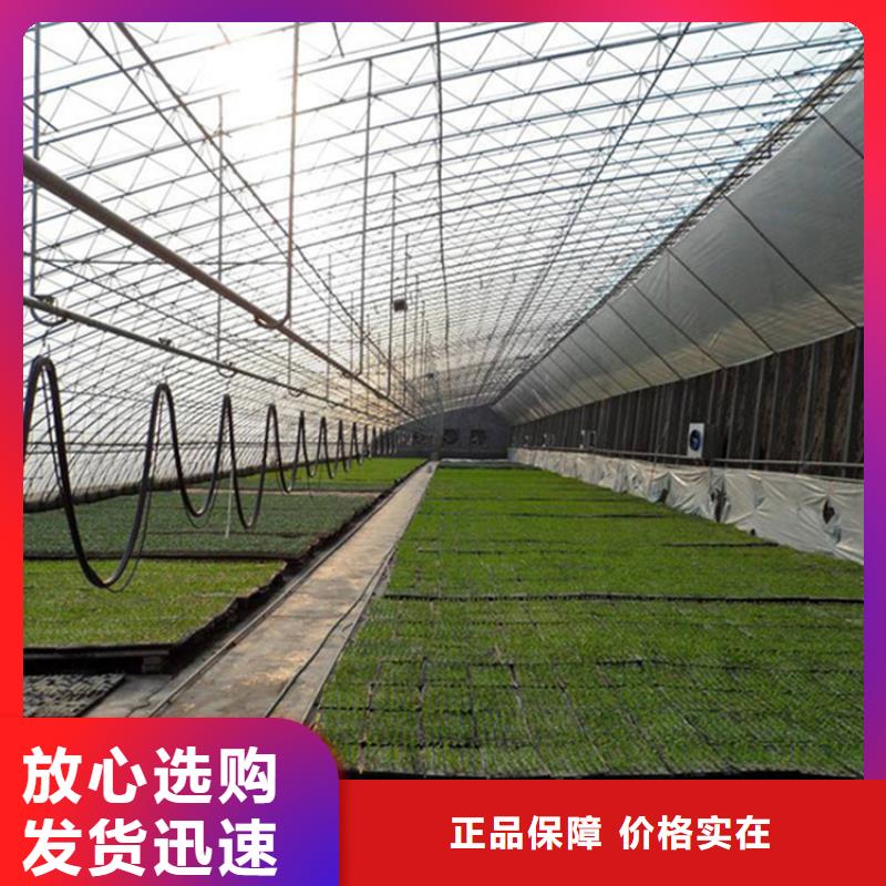 连体大棚多少钱一亩实体大厂