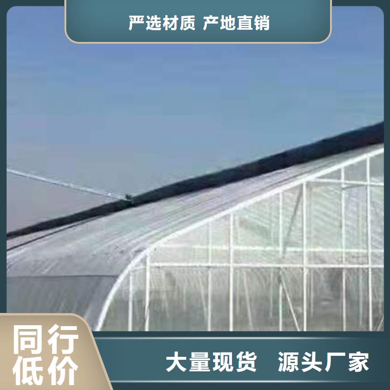 黔西县连栋大棚每平方价格【修饰词