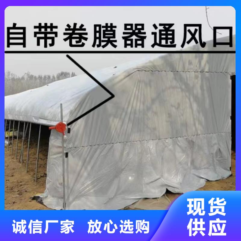 广东省深圳龙岗街道葡萄连体大棚现货报价