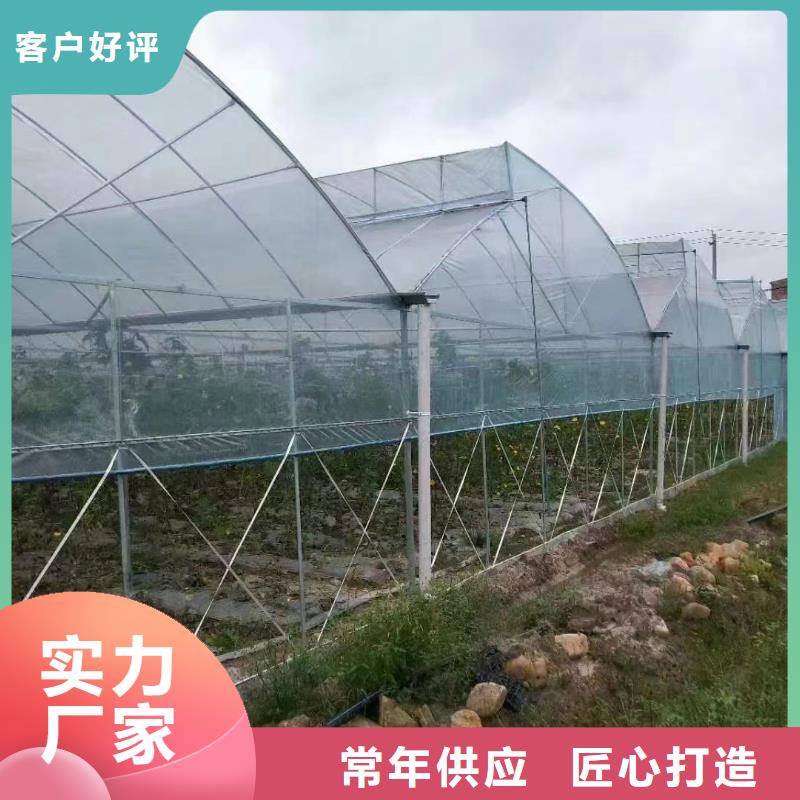 养殖大棚用黑白膜厂家现货