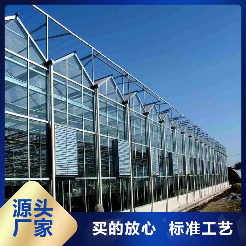 广东省深圳龙岗街道葡萄连体大棚现货报价