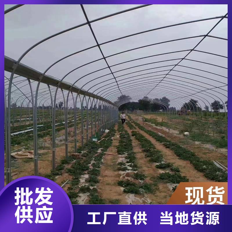 县连体大棚多少钱一亩发货快