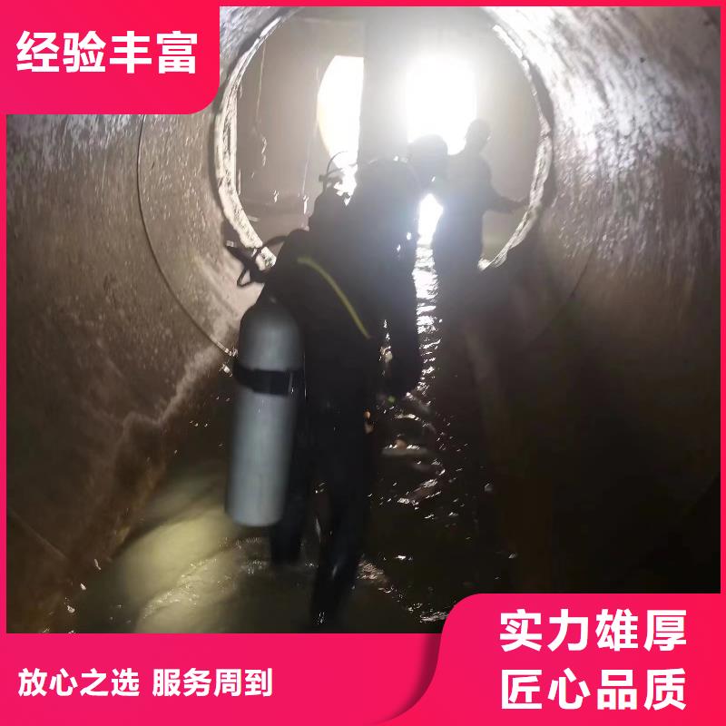 专业销售水下探摸-大型厂家