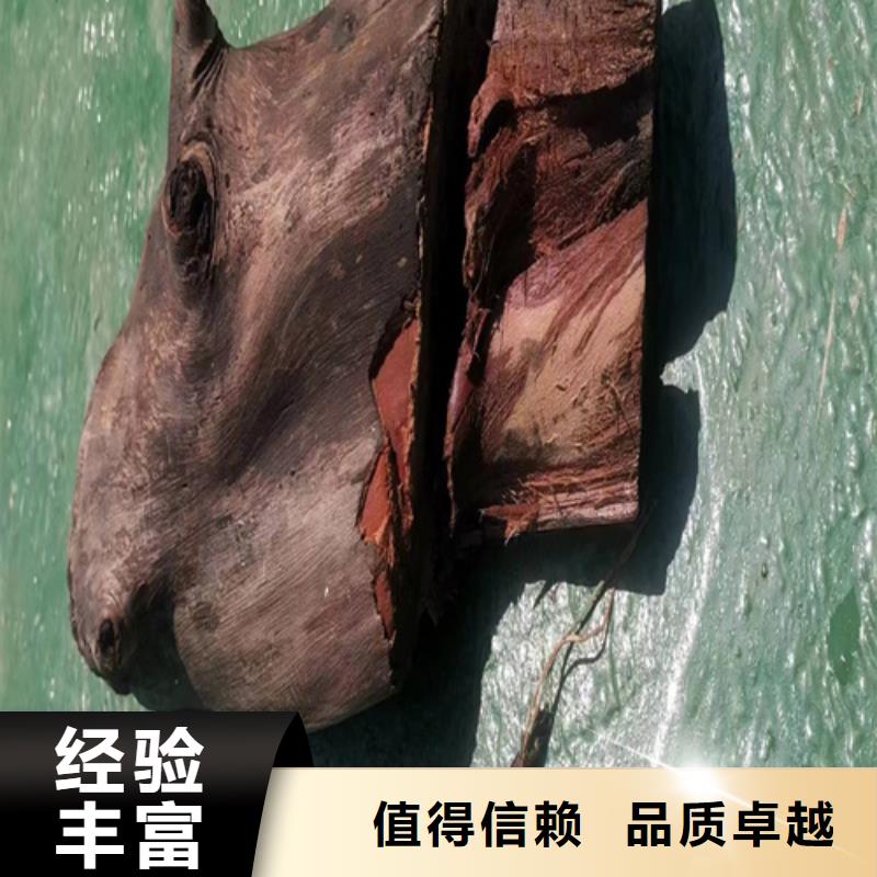 水下拍照欢迎来电