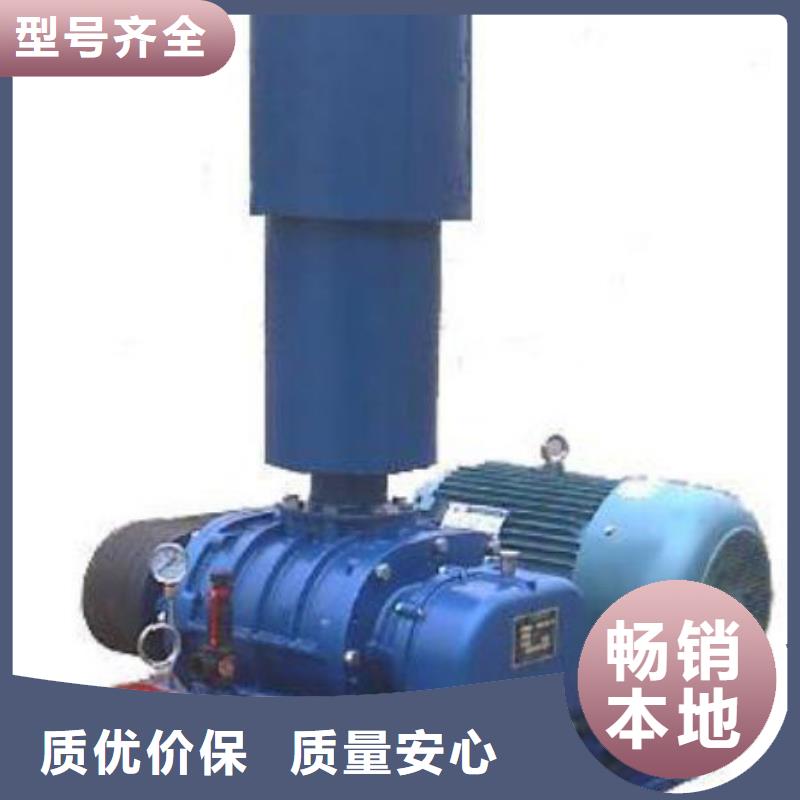 山东临风科技股份两叶罗茨风机LFSR300