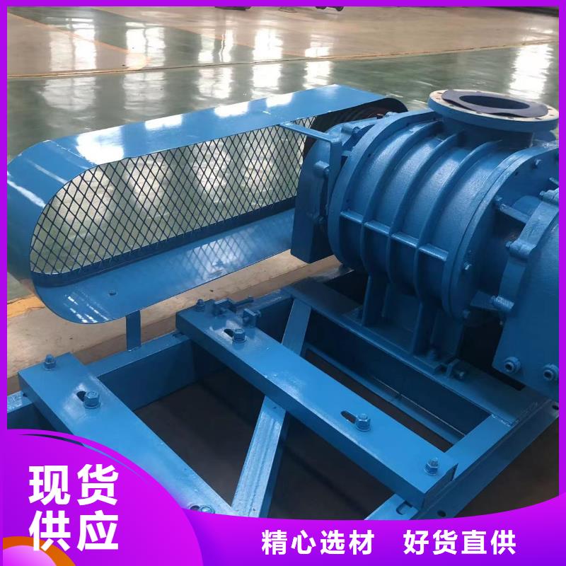 山东临风科技股份两叶罗茨风机LFSR125