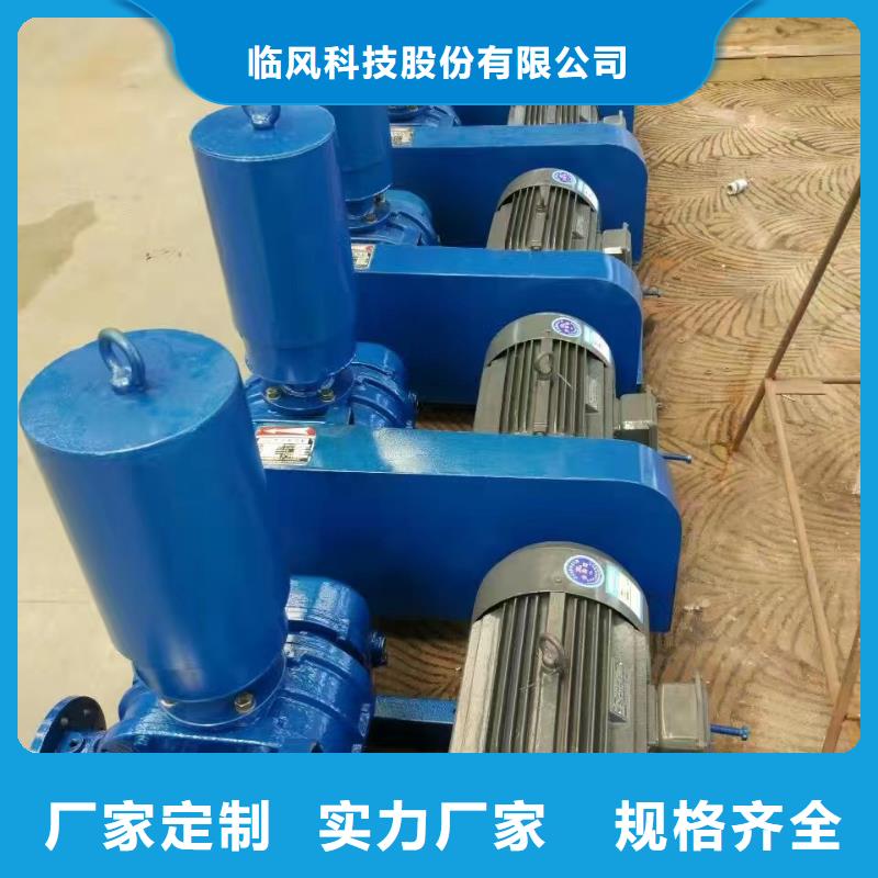 山东临风科技股份两叶罗茨风机LFSR125