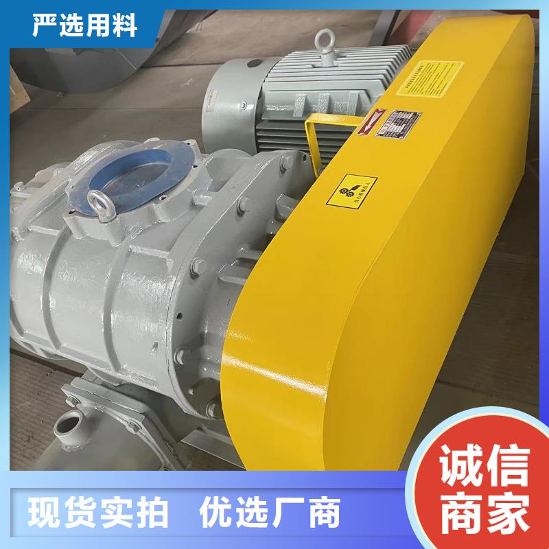 山东临风科技股份两叶罗茨风机LFSR125