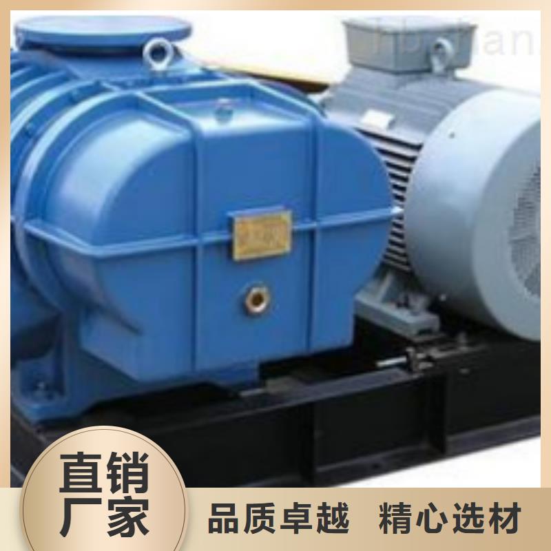 山东临风科技股份两叶罗茨风机LFSR125