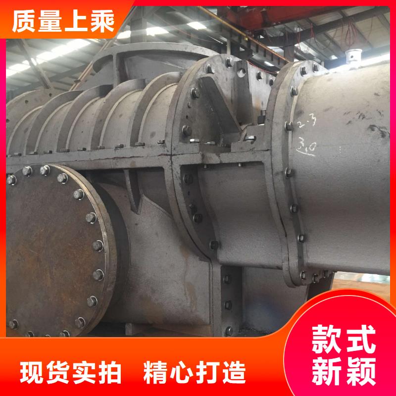 山东临风科技股份两叶罗茨风机LFSR125
