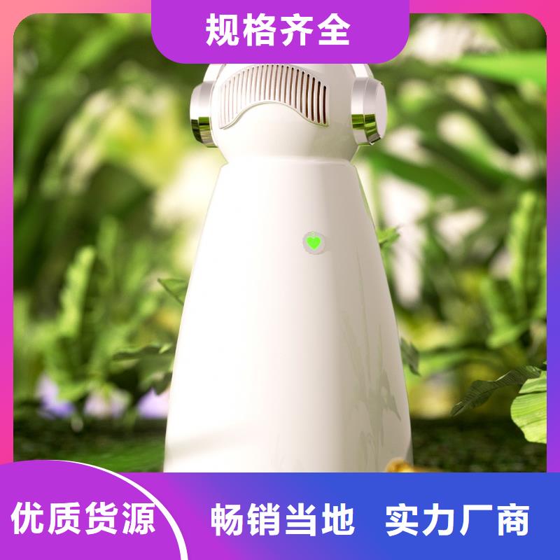 【深圳】空气净化厂家现货小白祛味王