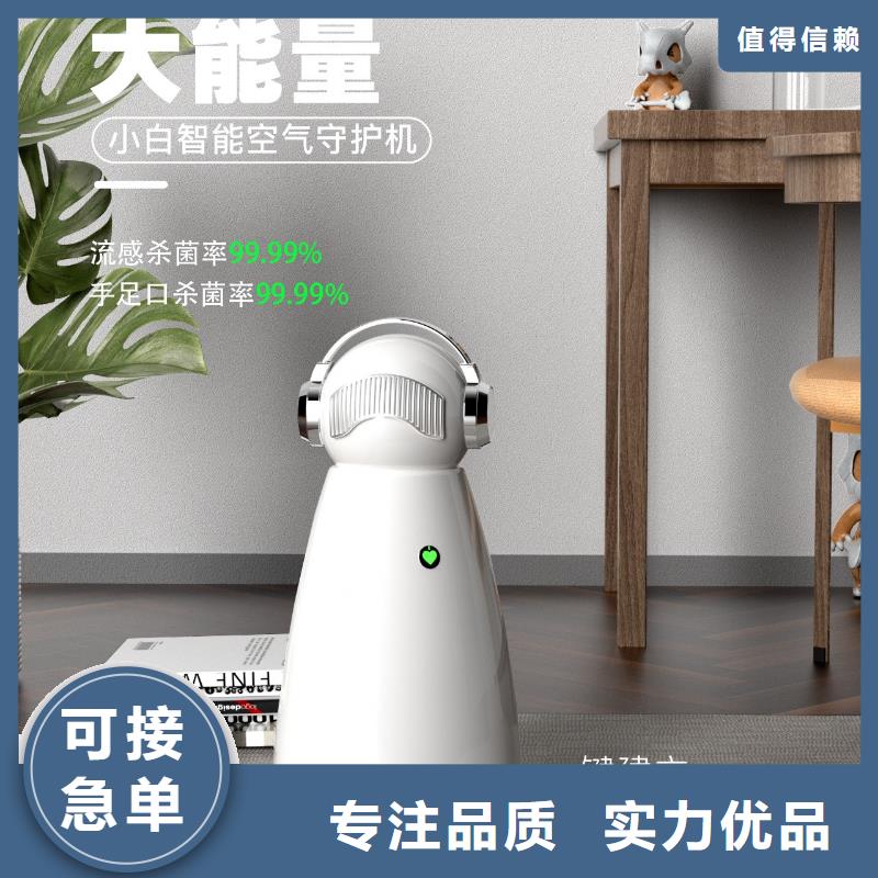 【深圳】小白祛味王循环系统空气守护