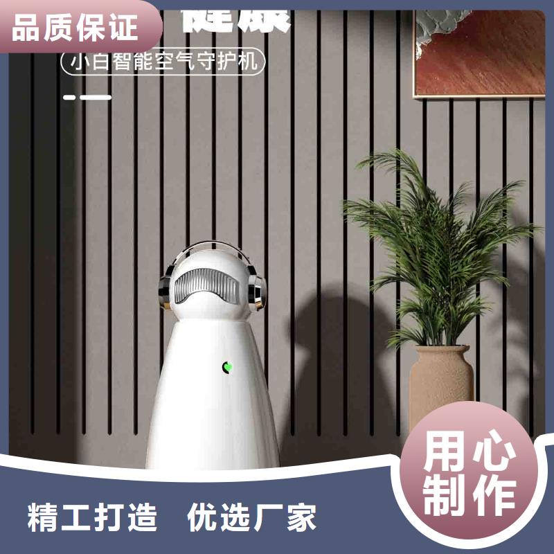 小白空气守护机【车载空气净化器】拒绝差价