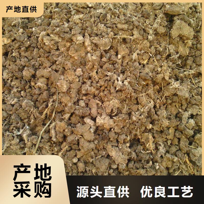 干鸡粪厂家