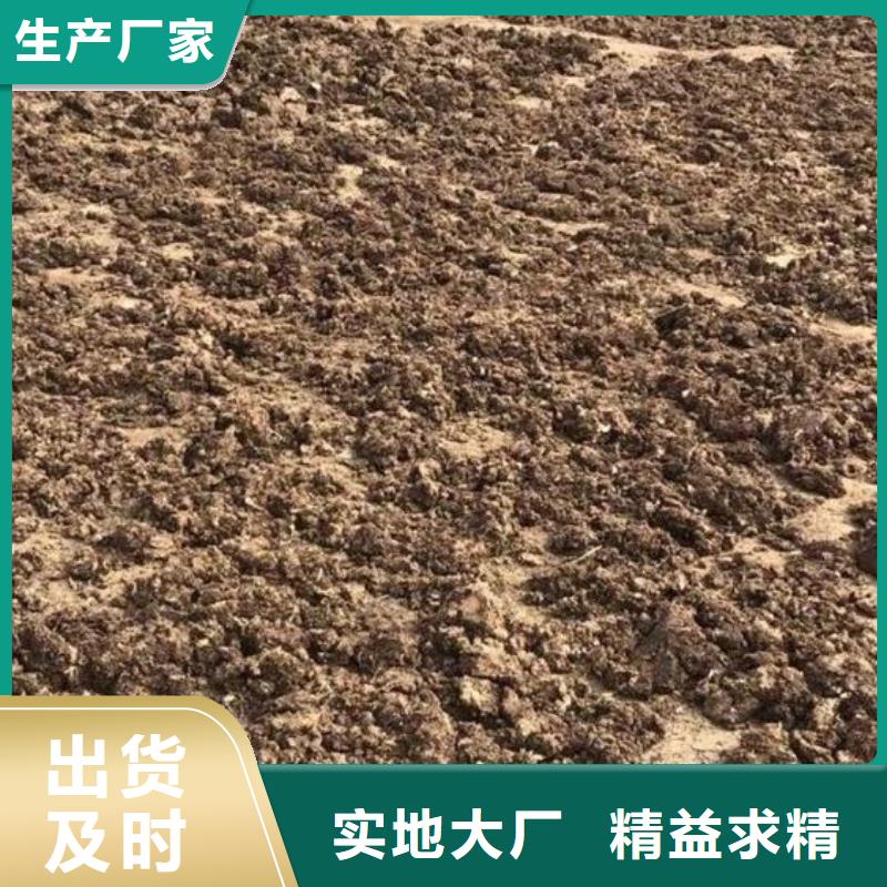 稻壳鸡粪肥沃农田